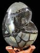 Septarian Dragon Egg Geode - Black Crystals #57445-1